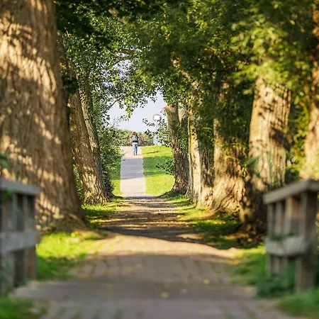 Ostseepanorama - Mit Balkon Und Boddenblick Apartamento